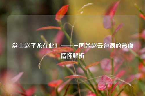 常山赵子龙在此!——三国杀赵云台词的热血情怀解析