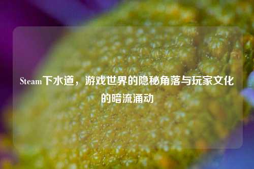 Steam下水道，游戏世界的隐秘角落与玩家文化的暗流涌动
