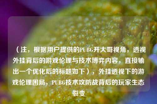 （注，根据用户提供的PUBG开大哥视角，透视外挂背后的游戏伦理与技术博弈内容，直接输出一个优化后的标题如下），外挂透视下的游戏伦理困局，PUBG技术攻防战背后的玩家生态裂变