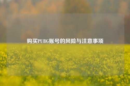 购买PUBG账号的风险与注意事项