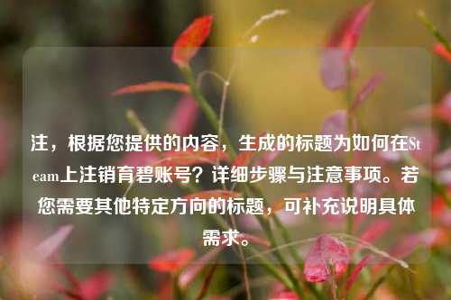 注，根据您提供的内容，生成的标题为如何在Steam上注销育碧账号？详细步骤与注意事项。若您需要其他特定方向的标题，可补充说明具体需求。