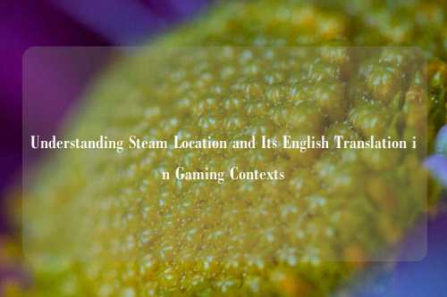 Understanding Steam Location and Its English Translation in Gaming Contexts