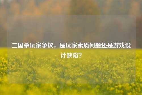 三国杀玩家争议，是玩家素质问题还是游戏设计缺陷？