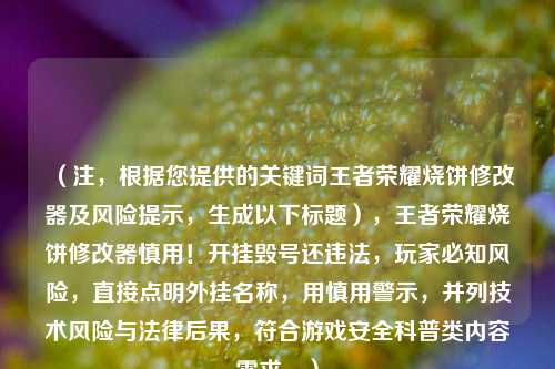 （注，根据您提供的关键词王者荣耀烧饼修改器及风险提示，生成以下标题），王者荣耀烧饼修改器慎用！开挂毁号还违法，玩家必知风险，直接点明外挂名称，用慎用警示，并列技术风险与法律后果，符合游戏安全科普类内容需求。）