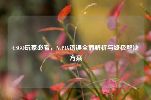 CSGO玩家必看,NvPIA错误全面解析与终极解决方案