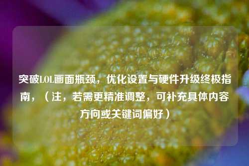 突破LOL画面瓶颈，优化设置与硬件升级终极指南，（注，若需更精准调整，可补充具体内容方向或关键词偏好）