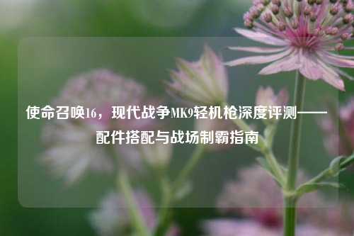 使命召唤16，现代战争MK9轻机枪深度评测——配件搭配与战场制霸指南