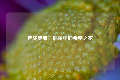 逆战绽放,荆棘中的希望之花