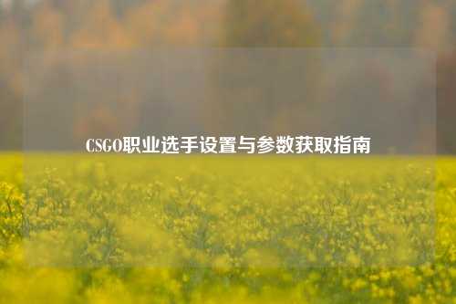 CSGO职业选手设置与参数获取指南