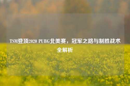 TSM登顶2020 PUBG北美赛，冠军之路与制胜战术全解析