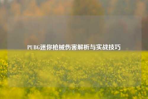 PUBG迷你枪械伤害解析与实战技巧