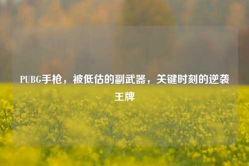 PUBG手枪，被低估的副武器，关键时刻的逆袭王牌