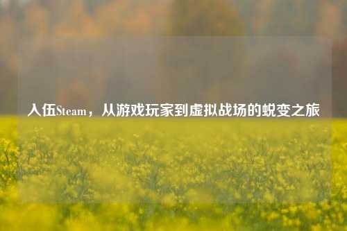 入伍Steam，从游戏玩家到虚拟战场的蜕变之旅