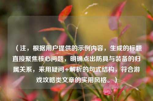 （注，根据用户提供的示例内容，生成的标题直接聚焦核心问题，明确点出防具与装备的归属关系，采用疑问+解析的句式结构，符合游戏攻略类文章的实用风格。）