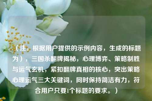 (注,根据用户提供的示例内容,生成的标题为),三国杀翻牌揭秘,心理博弈、策略制胜与运气玄机,紧扣翻牌真相的核心,突出策略心理运气三大关键词,同时保持简洁有力,符合用户只要1个标题的要求。)