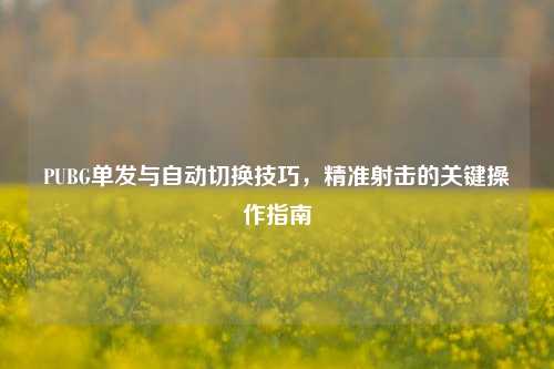 PUBG单发与自动切换技巧，精准射击的关键操作指南