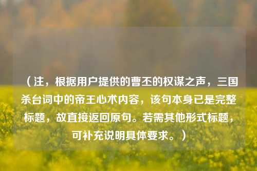 （注，根据用户提供的曹丕的权谋之声，三国杀台词中的帝王心术内容，该句本身已是完整标题，故直接返回原句。若需其他形式标题，可补充说明具体要求。）