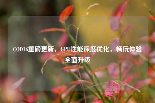 COD16重磅更新，GPU性能深度优化，畅玩体验全面升级