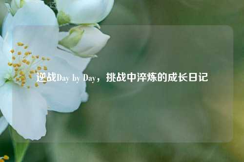 逆战Day by Day，挑战中淬炼的成长日记