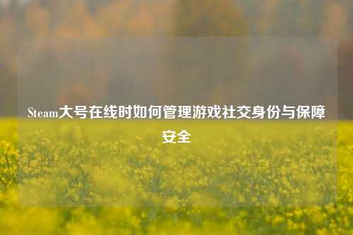 Steam大号在线时如何管理游戏社交身份与保障安全