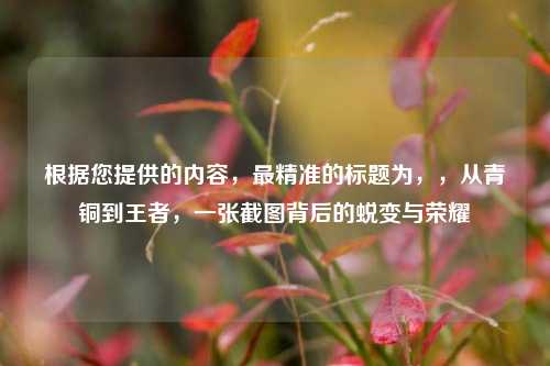 根据您提供的内容，最精准的标题为，，从青铜到王者，一张截图背后的蜕变与荣耀