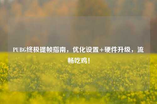 PUBG终极提帧指南，优化设置+硬件升级，流畅吃鸡！