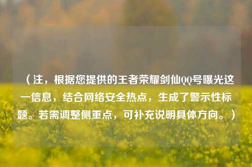 （注，根据您提供的王者荣耀剑仙QQ号曝光这一信息，结合网络安全热点，生成了警示性标题。若需调整侧重点，可补充说明具体方向。）