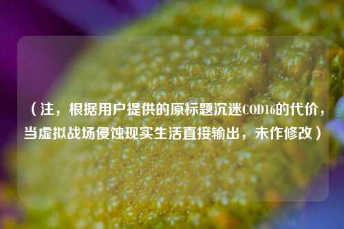 （注，根据用户提供的原标题沉迷COD16的代价，当虚拟战场侵蚀现实生活直接输出，未作修改）