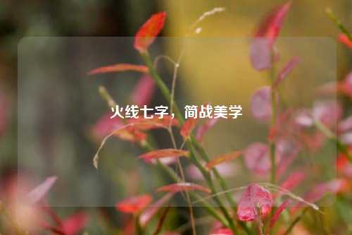 火线七字，简战美学