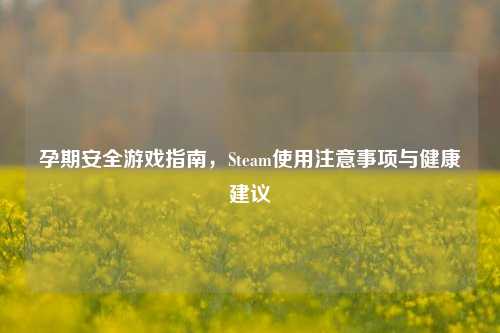 孕期安全游戏指南，Steam使用注意事项与健康建议