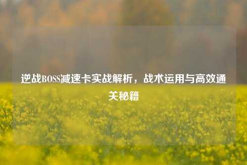 逆战BOSS减速卡实战解析，战术运用与高效通关秘籍