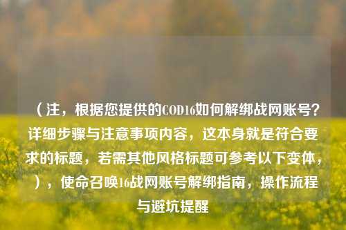 （注，根据您提供的COD16如何解绑战网账号？详细步骤与注意事项内容，这本身就是符合要求的标题，若需其他风格标题可参考以下变体，），使命召唤16战网账号解绑指南，操作流程与避坑提醒