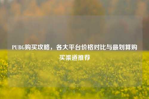 PUBG购买攻略，各大平台价格对比与最划算购买渠道推荐