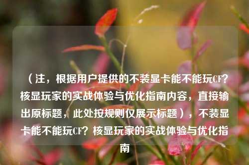 （注，根据用户提供的不装显卡能不能玩CF？核显玩家的实战体验与优化指南内容，直接输出原标题，此处按规则仅展示标题），不装显卡能不能玩CF？核显玩家的实战体验与优化指南