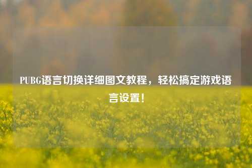 PUBG语言切换详细图文教程,轻松搞定游戏语言设置!