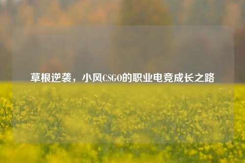 草根逆袭，小风CSGO的职业电竞成长之路