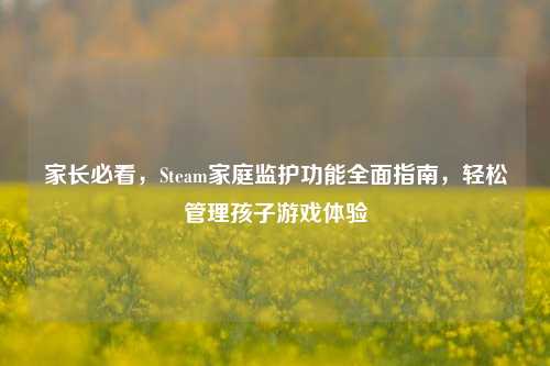家长必看，Steam家庭监护功能全面指南，轻松管理孩子游戏体验