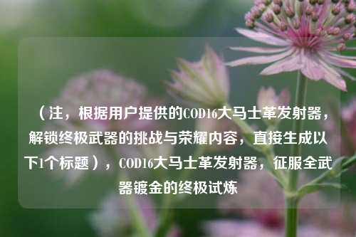 (注,根据用户提供的COD16大马士革发射器,解锁终极武器的挑战与荣耀内容,直接生成以下1个标题),COD16大马士革发射器,征服全武器镀金的终极试炼