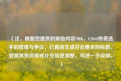 (注,根据您提供的原始内容NBK,CSGO传奇选手的辉煌与争议,已直接生成符合要求的标题。若需其他风格或补充信息调整,可进一步说明。)