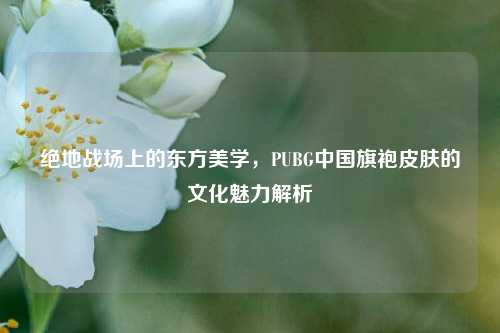 绝地战场上的东方美学，PUBG中国旗袍皮肤的文化魅力解析