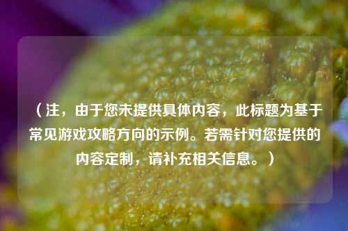 （注，由于您未提供具体内容，此标题为基于常见游戏攻略方向的示例。若需针对您提供的内容定制，请补充相关信息。）
