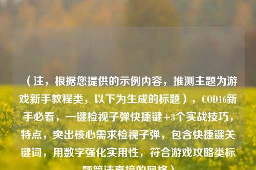 (注,根据您提供的示例内容,推测主题为游戏新手教程类,以下为生成的标题),COD16新手必看,一键检视子弹快捷键+3个实战技巧,特点,突出核心需求检视子弹,包含快捷键关键词,用数字强化实用性,符合游戏攻略类标题简洁直接的风格)