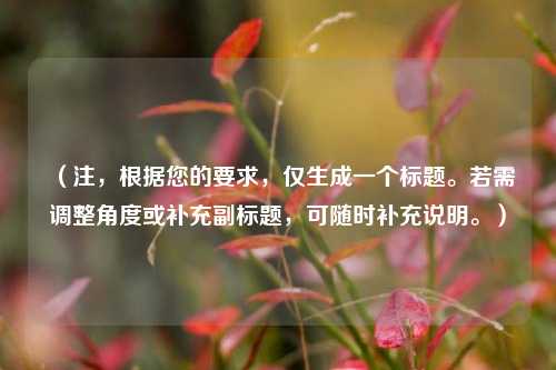 (注,根据您的要求,仅生成一个标题。若需调整角度或补充副标题,可随时补充说明。)