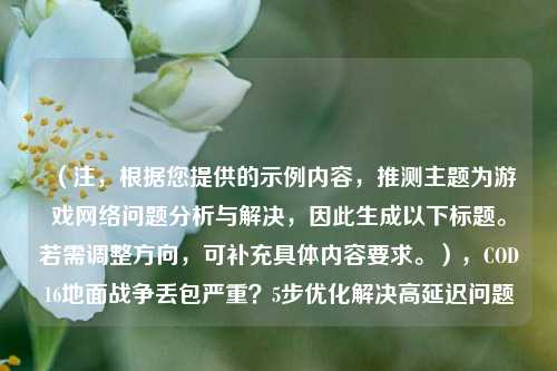 （注，根据您提供的示例内容，推测主题为游戏网络问题分析与解决，因此生成以下标题。若需调整方向，可补充具体内容要求。），COD16地面战争丢包严重？5步优化解决高延迟问题