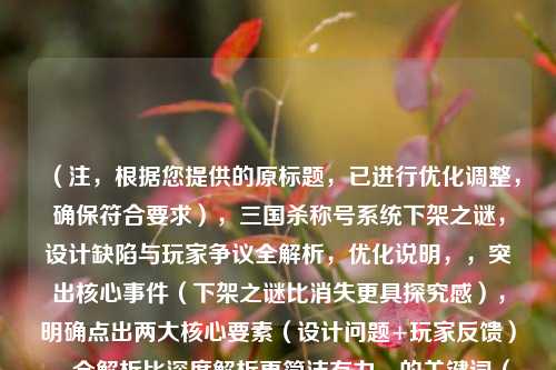 （注，根据您提供的原标题，已进行优化调整，确保符合要求），三国杀称号系统下架之谜，设计缺陷与玩家争议全解析，优化说明，，突出核心事件（下架之谜比消失更具探究感），明确点出两大核心要素（设计问题+玩家反馈），全解析比深度解析更简洁有力，的关键词（三国杀/称号系统）确保SEO延续性，如需其他风格标题，可补充说明倾向（如悬念式/数据式/情感共鸣式等）