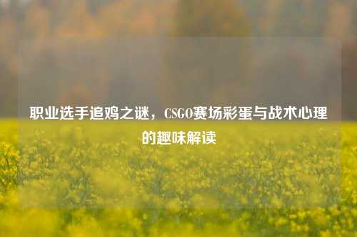 职业选手追鸡之谜,CSGO赛场彩蛋与战术心理的趣味解读