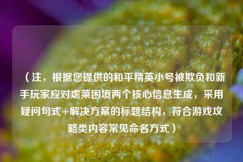 （注，根据您提供的和平精英小号被欺负和新手玩家应对虐菜困境两个核心信息生成，采用疑问句式+解决方案的标题结构，符合游戏攻略类内容常见命名方式）