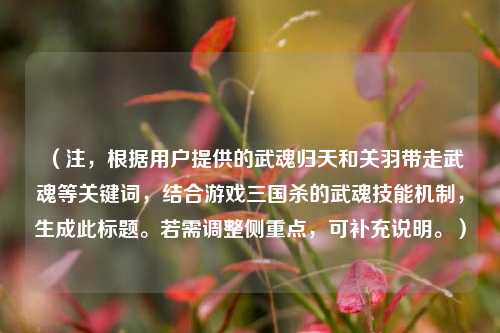 (注,根据用户提供的武魂归天和关羽带走武魂等关键词,结合游戏三国杀的武魂技能机制,生成此标题。若需调整侧重点,可补充说明。)