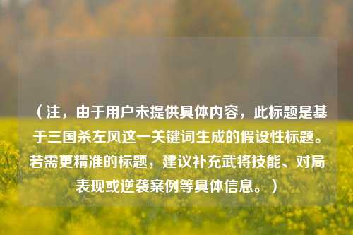 (注,由于用户未提供具体内容,此标题是基于三国杀左风这一关键词生成的假设性标题。若需更精准的标题,建议补充武将技能、对局表现或逆袭案例等具体信息。)