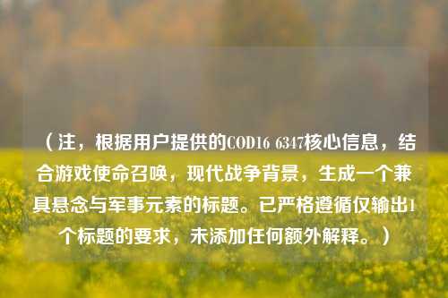 （注，根据用户提供的COD16 6347核心信息，结合游戏使命召唤，现代战争背景，生成一个兼具悬念与军事元素的标题。已严格遵循仅输出1个标题的要求，未添加任何额外解释。）